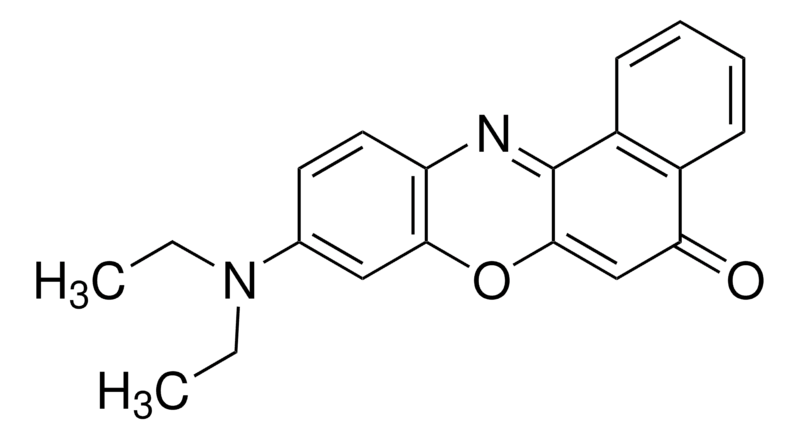 Nile Red For Molecular Biology