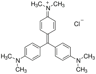 Gentian Violet AR