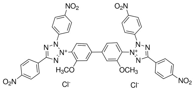 Tetranitro B.T. AR (Tetranitro Blue Tetrazolium Chloride)