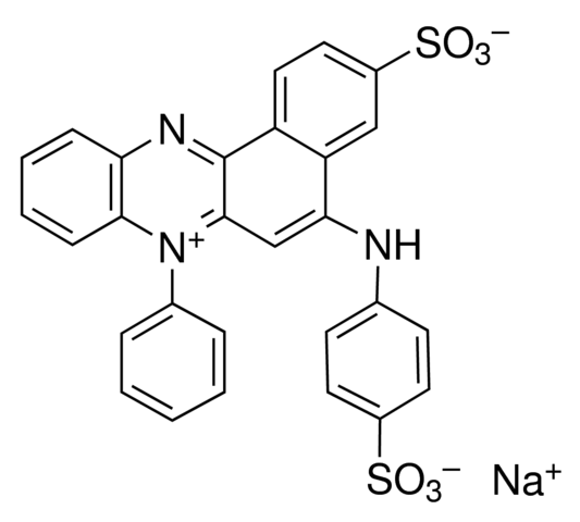 Azocarmine G for Histology (Acid Red 101)