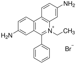 Ethidium Bromide