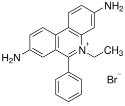 Ethidium Bromide Solution 95.0% (10mg/ml) For Molecular Biology