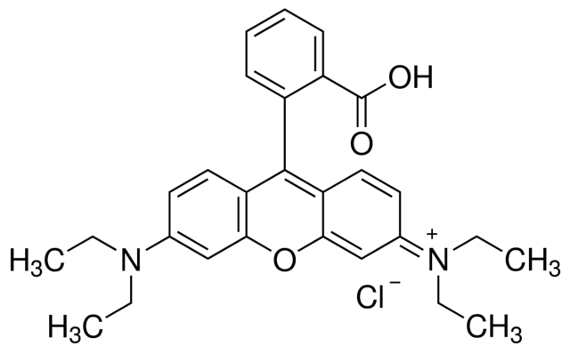 Rhodamine B AR for Microscopy C.l. No. 45170